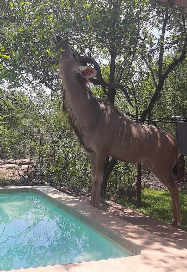 Nature House * Marloth Park